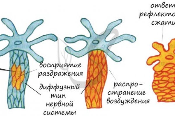 Как вернуть аккаунт кракен