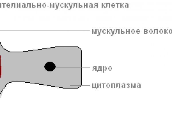 Kraken наркотики сайт