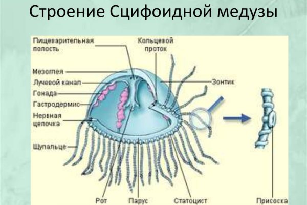 Кракен как зайти через тор браузер